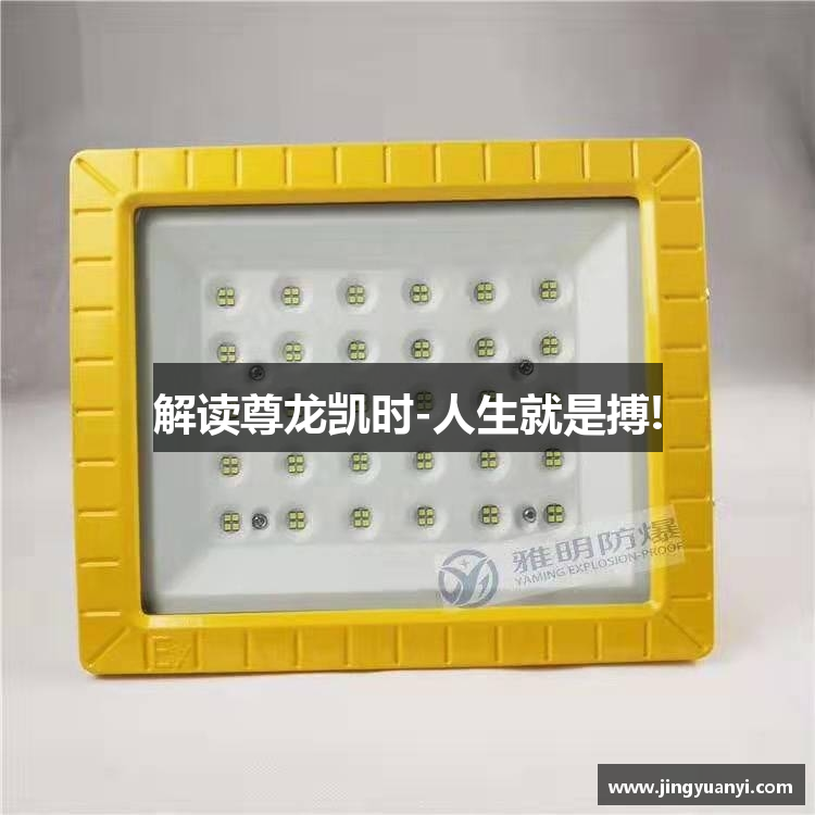 解读尊龙凯时-人生就是搏!